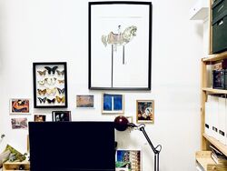 Primedge (D14), Apartment #462824831